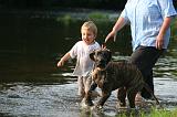 ENFANT ET CHIEN 615